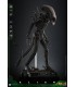 BIG CHAP ALIEN HOT TOYS