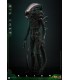 BIG CHAP ALIEN HOT TOYS