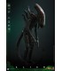 BIG CHAP ALIEN HOT TOYS