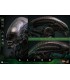 BIG CHAP ALIEN HOT TOYS