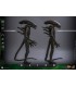 BIG CHAP ALIEN HOT TOYS