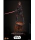 ANAKIN SKYWALKER EP 3 LA VENGANZA DE LOS SITH HOT TOYS