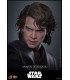 ANAKIN SKYWALKER EP 3 LA VENGANZA DE LOS SITH HOT TOYS