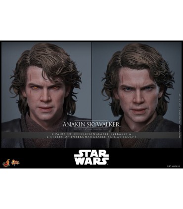 ANAKIN SKYWALKER EP 3 LA VENGANZA DE LOS SITH HOT TOYS