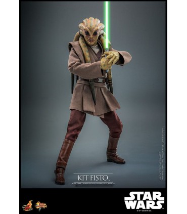copy of KIT FISTO HOT TOYS
