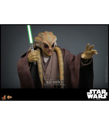 copy of KIT FISTO HOT TOYS