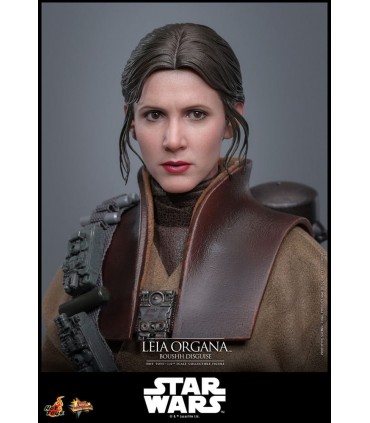 LEIA ORGANA BOUSHH DISGUISE HOT TOYS