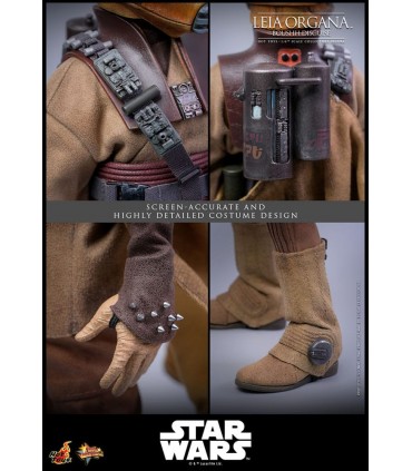 LEIA ORGANA BOUSHH DISGUISE HOT TOYS