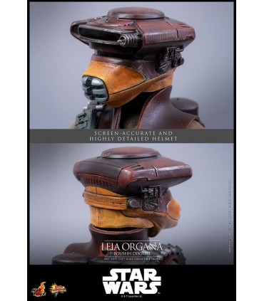 LEIA ORGANA BOUSHH DISGUISE HOT TOYS