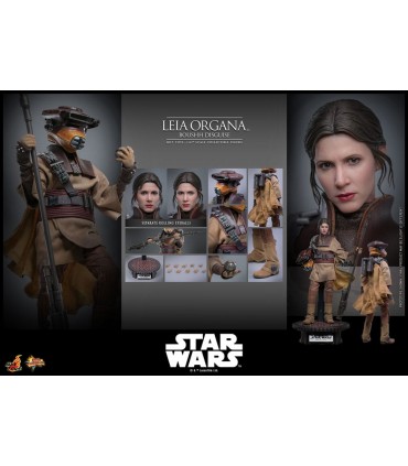 LEIA ORGANA BOUSHH DISGUISE HOT TOYS