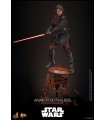 ANAKIN SKYWALKER MUSTAFAR HOT TOYS