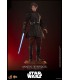 ANAKIN SKYWALKER MUSTAFAR HOT TOYS