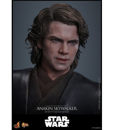 ANAKIN SKYWALKER MUSTAFAR HOT TOYS