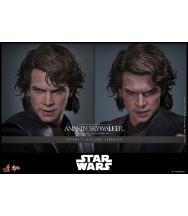ANAKIN SKYWALKER MUSTAFAR HOT TOYS