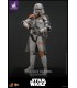 AIRBORNE TROOPER 212 EXCLUSIVE HOT TOYS