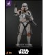 AIRBORNE TROOPER 212 EXCLUSIVE HOT TOYS
