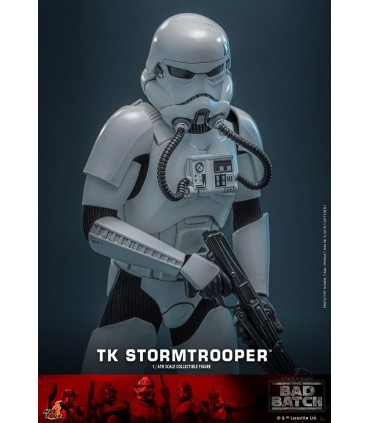 TK STROMTROOPER BAD BATCH HOT TOYS
