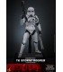 TK STROMTROOPER BAD BATCH HOT TOYS