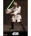 QUI-GON JINN ( COLLECTOR EDITION ) HOT TOYS