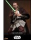 QUI-GON JINN ( COLLECTOR EDITION ) HOT TOYS
