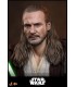 QUI-GON JINN ( COLLECTOR EDITION ) HOT TOYS