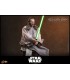 QUI-GON JINN ( COLLECTOR EDITION ) HOT TOYS