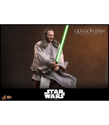QUI-GON JINN ( COLLECTOR EDITION ) HOT TOYS