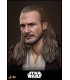 QUI-GON JINN ( COLLECTOR EDITION ) HOT TOYS