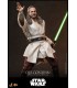 QUI-GON JINN ( COLLECTOR EDITION ) HOT TOYS