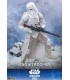 SNOWTROOPER IMPERIAL REMNANT HOT TOYS
