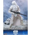 SNOWTROOPER IMPERIAL REMNANT HOT TOYS