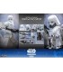 SNOWTROOPER IMPERIAL REMNANT HOT TOYS