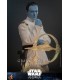ADMIRAL THRAWN STAR WARS AHSOKA HOT TOYS