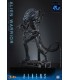 ALIEN WARRIOR 1/6 HOT TOYS