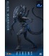 ALIEN WARRIOR 1/6 HOT TOYS