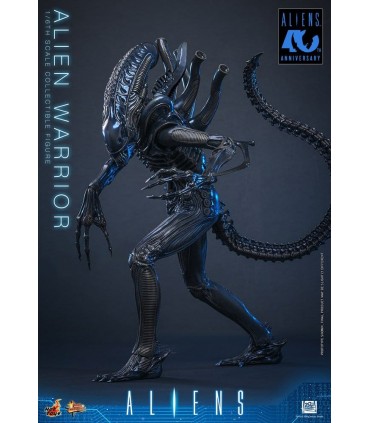 ALIEN WARRIOR 1/6 HOT TOYS