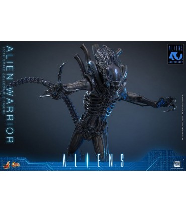 ALIEN WARRIOR 1/6 HOT TOYS
