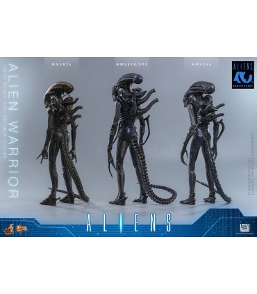 ALIEN WARRIOR 1/6 HOT TOYS
