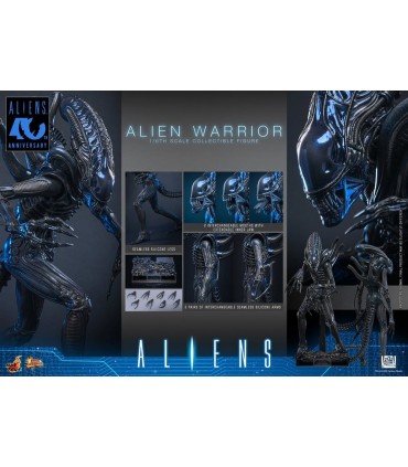 ALIEN WARRIOR 1/6 HOT TOYS