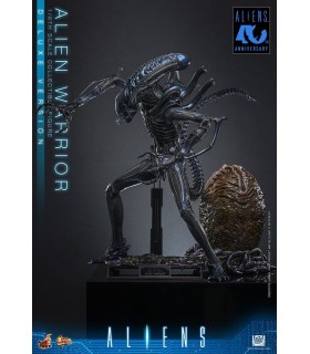 copy of ALIEN WARRIOR 1/6 HOT TOYS