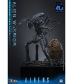 copy of ALIEN WARRIOR 1/6 HOT TOYS