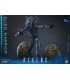 copy of ALIEN WARRIOR 1/6 HOT TOYS
