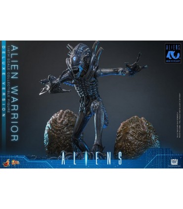 copy of ALIEN WARRIOR 1/6 HOT TOYS