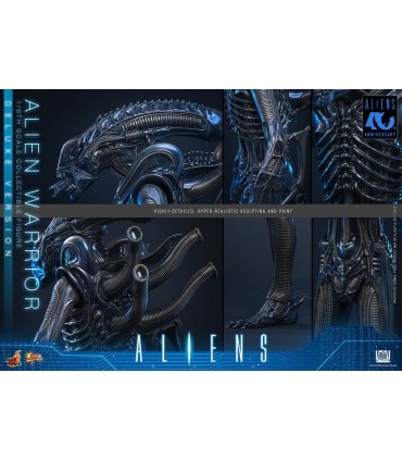 copy of ALIEN WARRIOR 1/6 HOT TOYS