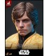 LUKE SKYWALKER SHADOWS OF EMPIRE HOT TOYS EXCLUSIVE