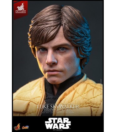 LUKE SKYWALKER SHADOWS OF EMPIRE HOT TOYS EXCLUSIVE