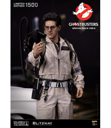 copy of RAYMOND STANZ 1/6 BLITZWAY